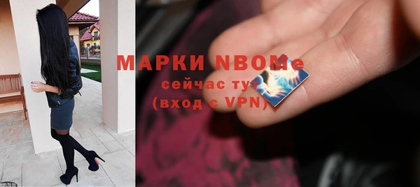 гашик Верея