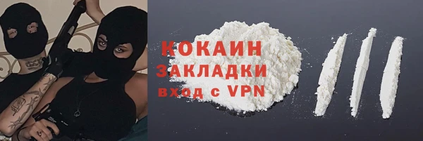 гашик Верея