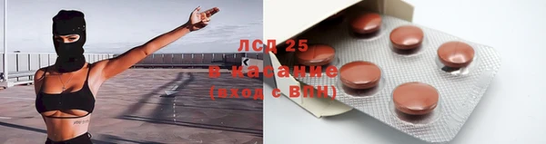 гашик Верея