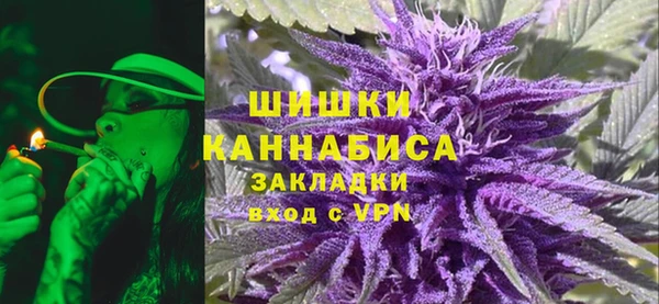 гашик Верея