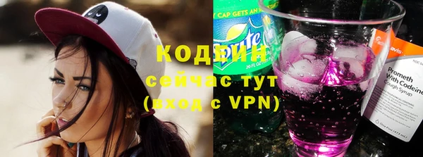гашик Верея