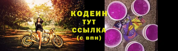 гашик Верея