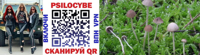 Купить закладки  Луза  Псилоцибиновые грибы MAGIC MUSHROOMS 