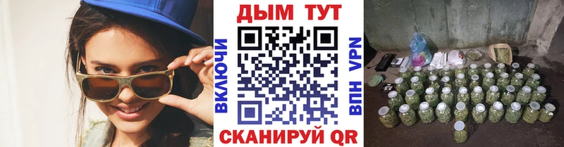 Купить Луза Каннабис SATIVA & INDICA